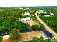 Dự án 20 nền sẵn thổ cư trục đường chính Lộc An, Bảo Lâm. Giá đầu tư 16 tỷ