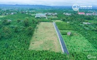 Đất nền giá rẻ tại Bảo Lộc chỉ từ 3 triệu/ 1 mét vuông