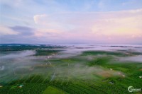 Cần bán đất nền trên đồi Bảo Lộc, view săn mây cực đẹp giá từ 5 triệu/m2