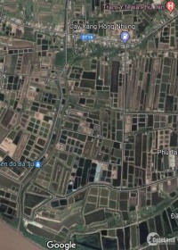 250 triệu / 1000 m2 đất nuôi tôm - oto tới tận đất cù lao Tân Phú Đông, TiềGiang