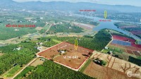Lô đất Lâm Đồng gần KDL đồi chè Long Đỉnh hồ Phúc Thọ rẻ hơn thị trường 150triệu