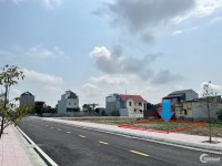 Chính chủ bán lô đất 320m2 Tân Phong - Quảng Xương. 0913 851 313