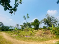 Chủ cần bán Diện tích 4000m2 (200m2 ONT + Vườn)  Tớn Thưa, Phú Vinh, Tân Lạc