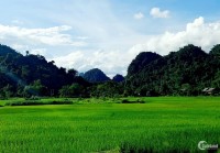 Bán nhanh lô đất đẹp 2700m tại xóm Đung, Phú Vinh giá sốc 9xx triệu