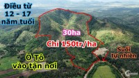 Chỉ 150tr/ha tổng 30ha tại huyện EaHLeo tỉnh Đắk Lắk