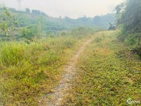 Cần bán gấp lô đất rừng giá rẻ bám suối thác tại Lương Sơn - Hòa Bình