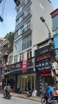 Cho thuê nhà 7 tầng, MT 6,5m, Có thang máy- Lương thế Vinh, Thanh Xuân