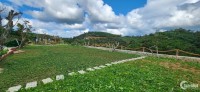 THE GREEN VALLEY - Nơi nghỉ dưỡng bậc nhất BẢO LỘC.