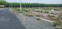 Bán đất chính chủ 20m x 50m view hồ Phước Hoà, Chơn Thành giá rẻ hơn 400tr