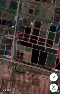 2.1 tỷ/ha đất tôm gốc 2 mặt tiền Sông - Trung tâm huyện Tân Phú Đông Tiền Giang