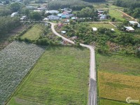 Bán đất Gò Dầu, Tây Ninh giá đầu tư, thổ cư 100%