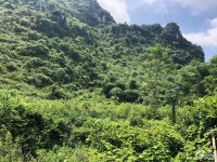 Bán đất nhà vườn nghỉ dưỡng Lương Sơn Hoà Bình 1000m2 bám núi giá chỉ nhỉnh 1 tỷ