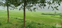 Bán đất nhà vườn nghỉ dưỡng Lương Sơn Hoà Bình 1800m2 VIEW SIÊU ĐẸP-vành đai 5