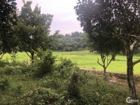 Bán gấp đất Cao Dương, Lương Sơn, Hoà Bình. 3500m2 nhà vườn, QL HCM 300m