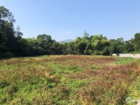 Cần Bán 1000m2 đất ở thị trấn Lương Sơn Hoà Bình nhà vườn ven đô cực đẹp gần TT