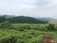Siêu rẻ! Bán đất nghỉ dưỡng Lương Sơn Hoà Bình 4400m2 view đẹp giá chỉ 2 tỷ