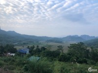 Bán đất Cao Sơn,Lương Sơn,HB 1,3ha view SUỐI,CÁNH ĐỒNG cực đẹp giá chỉ 2,x tỷ