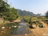 Bán đất nhà vườn Lương Sơn Hoà Bình 2650m2 giá rẻ bất ngờ