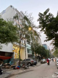 Apartment + VP, Thanh Xuân, Ô tô tránh, 100m, 10T, 50PKK, 2VP, DT 2,5 TỶ/NĂM,
