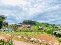 Bán Đất và Biệt Thự Kiwuki Bảo Lộc giá 9tr/m2 - Sổ hồng thổ cư