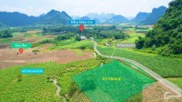 thửa đất bám suối, bám đường 100m, gần 4000m2 phù hợp nghỉ dưỡng