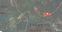 Bán gấp đất vườn Lộc Châu, Bảo Lộc, hơn 3100m2, chỉ 3,2 tỷ. Lh 097.2243130