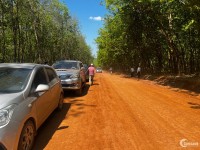 Nguồn đất Tân Lợi, Bình Phước. Chỉ hơn 300tr/sào sổ sẵn công chứng ngay