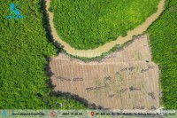 Bán đất sào làm nhà vườn tại An Cơ – Châu Thành – Tây Ninh