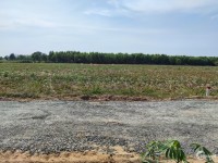 Cần sang nhượng lại lô đất nông nghiệp ở Hòa Thạnh - Tây Ninh