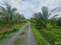 Cần Bán Lô Đất Vườn Có 48m Mặt Tiền Đường Tại Hiệp Thạnh Gò Dầu Tây Ninh