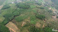 Cần bán lô đất 13 ha đất trang trại giá rẻ tại huyện Kim Bôi, tỉnh Hòa Bình