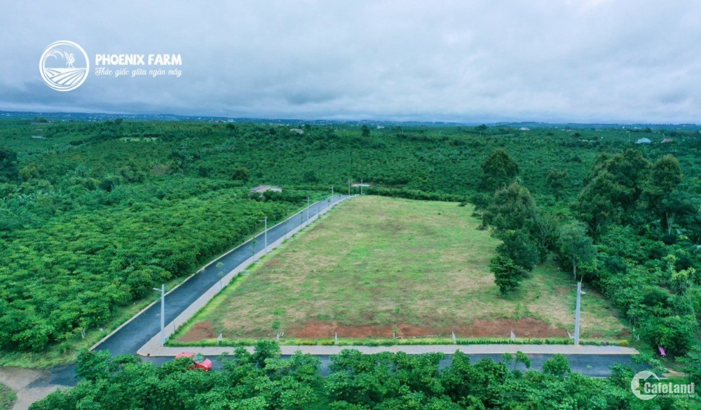 Chính chủ cần ra gấp lô đất siêu rẻ ở Bảo Lộc