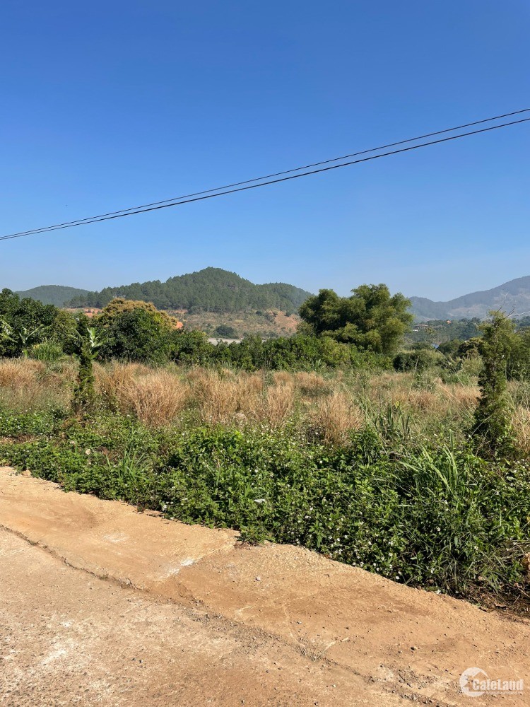 BÁN ĐẤT CHÍNH CHỦ, CAM KẾT GIÁ RẺ, SHR, QH THỔ CƯ.