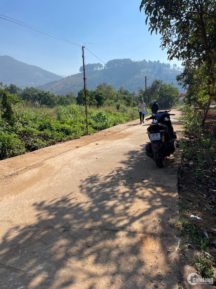 BÁN ĐẤT CHÍNH CHỦ, CAM KẾT GIÁ RẺ, SHR, QH THỔ CƯ.