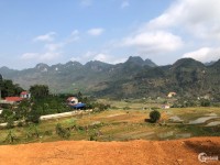 GIẢM MẠNH LÔ 2780m2 ONT, view ruộng bậc thang giá chỉ hơn mấy trăm nghìn