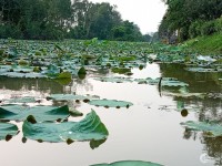 Áp góc. Sông Tào Khê lãng mạn. Siêu phẩm đại đô thị VSIP, TSơn, BNinh