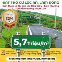 Bán đất thổ cư mặt tiền đường liên xã Lộc An, Lâm Đồng