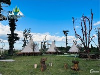 Bán nhà đất xã Lộc Tân huyện Bảo Lâm - View trực diện đồi chè và núi săn mây cực