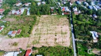 Chính chủ cần tiền bán gấp đất lớn tại Nhơn Trạch-Đồng Nai. Giá chỉ hơn 10tr/m2