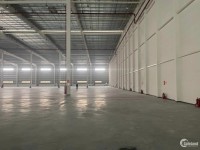 Cho thuê kho xưởng mới xây lên đến trong KCN Đình Vũ - Hải Phòng