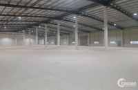 Cho thuê 20.000m2 nhà xưởng 1 tầng tại KCN Đại Đồng.