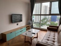 Scenic Valley Phu My Hung luxury apartment for rent