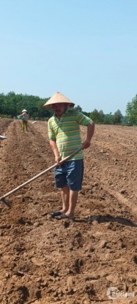 Chính chủ bán đất tại Minh Thắng,Chơn Thành,Bình Phước,1.2 ha, 11 TỶ 900TR