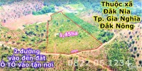 Đất rẫy cách trung tâm Đắk Nông chỉ 8km, 100m mặt tiền đường thông ra đường trán