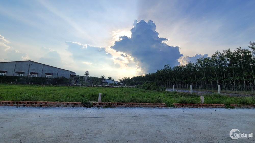 TIN HÓT Đất Gò Dầu Gần KCN chĩ 975tr/ nền