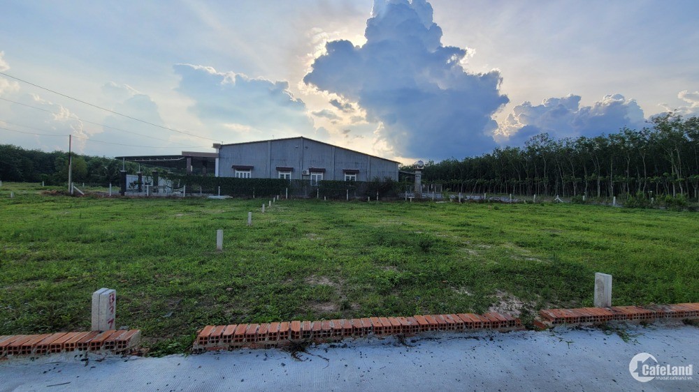 TIN HÓT Đất Gò Dầu Gần KCN chĩ 975tr/ nền