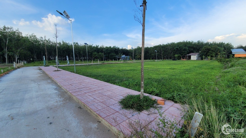 Đất Gò Dầu gần các KCN chĩ với 790tr/ nền