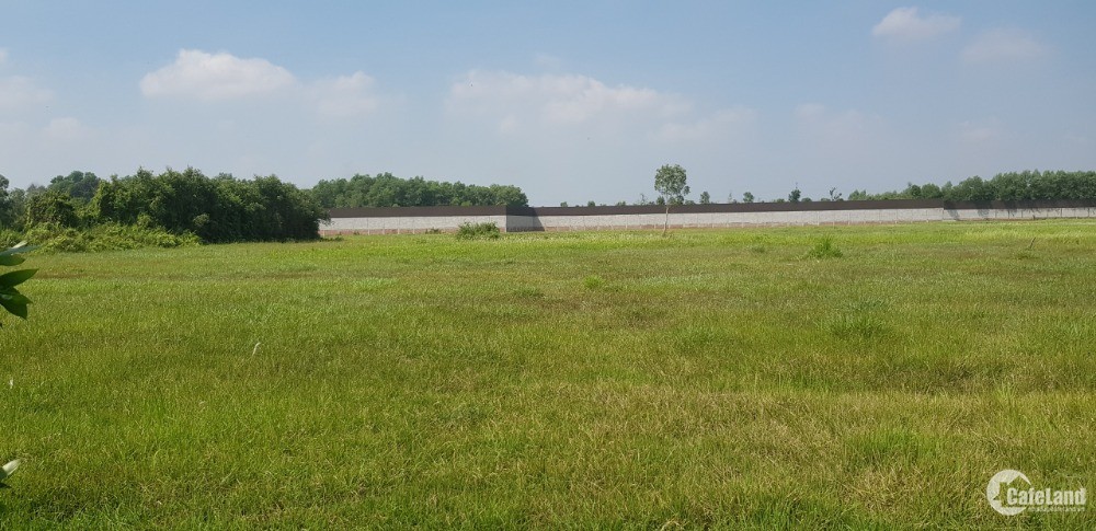 Đất mặt tiền Võ Thị Thương, Nhuận Đức, 3137m2, 1.1tr/m