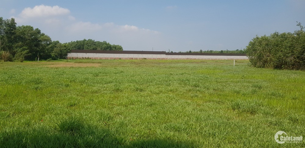 Đất mặt tiền Võ Thị Thương, Nhuận Đức, 3137m2, 1.1tr/m