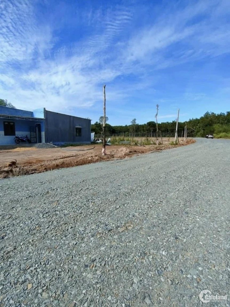 BÁN GẤP 225M2 ĐẤT MẶT TIỀN CHỢ, KHU CÔNG NGHIỆP DÂN CƯ ĐÔNG. GIÁ 250 TRIỆU